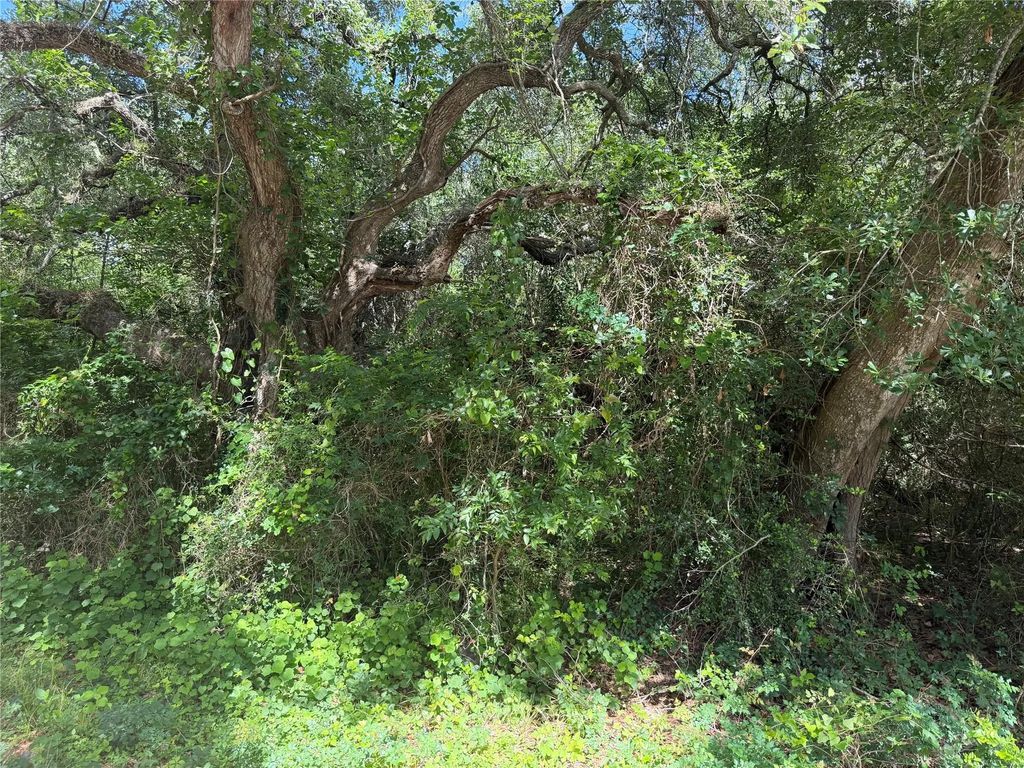 Lot 529 Grand Oak Street, Palacios