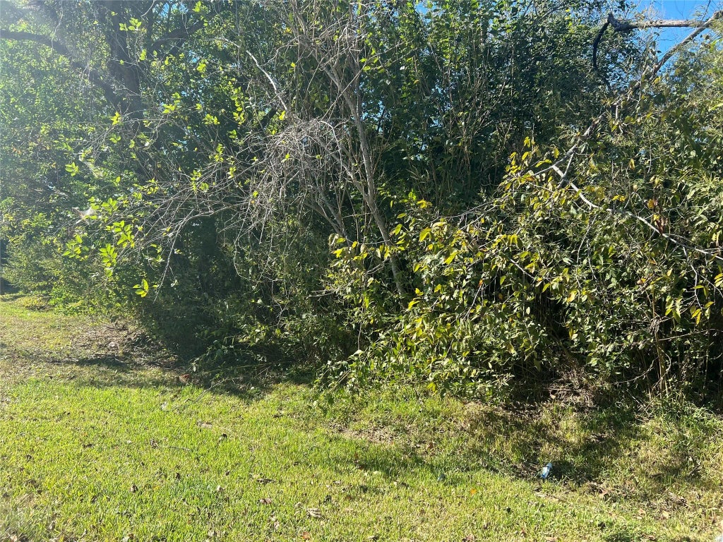 14305 Picton Drive, Houston