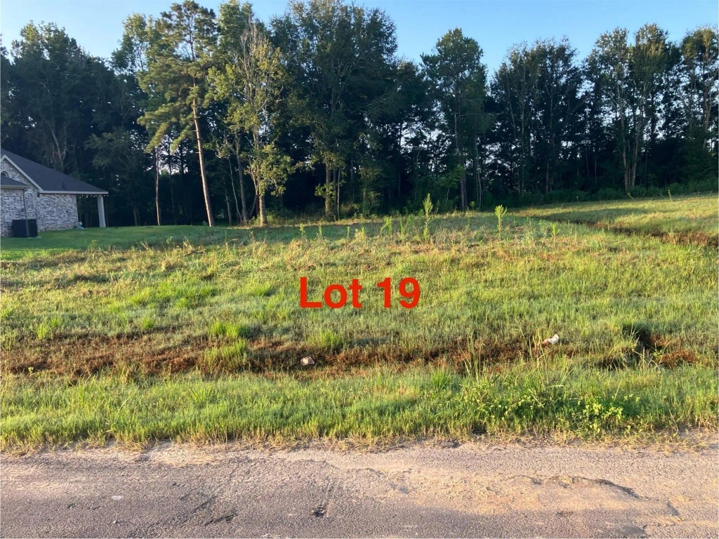 1081 Tarkington Timbers Drive, Cleveland