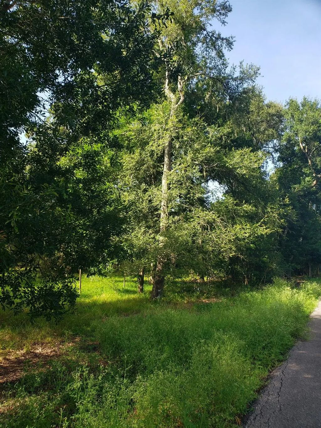 20921 Levee Road Road, Guy