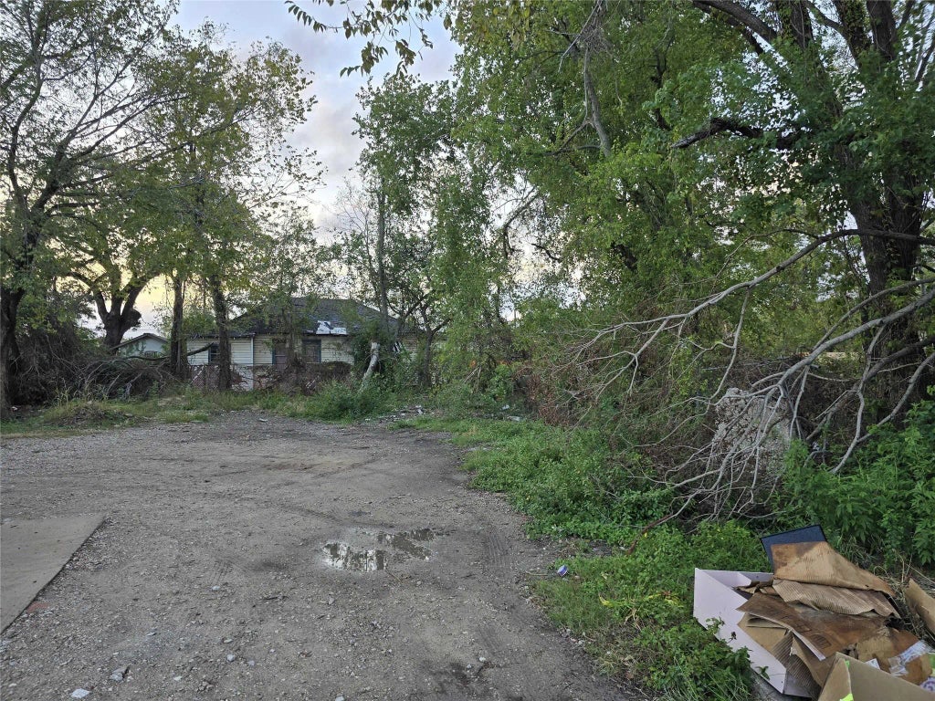 2007 Brackenridge Street, Houston