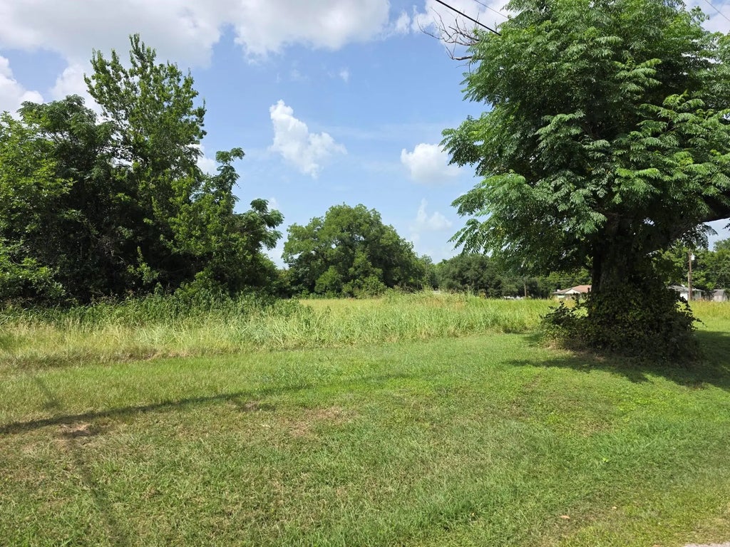 Tbd -1213 Cleveland Avenue, Navasota