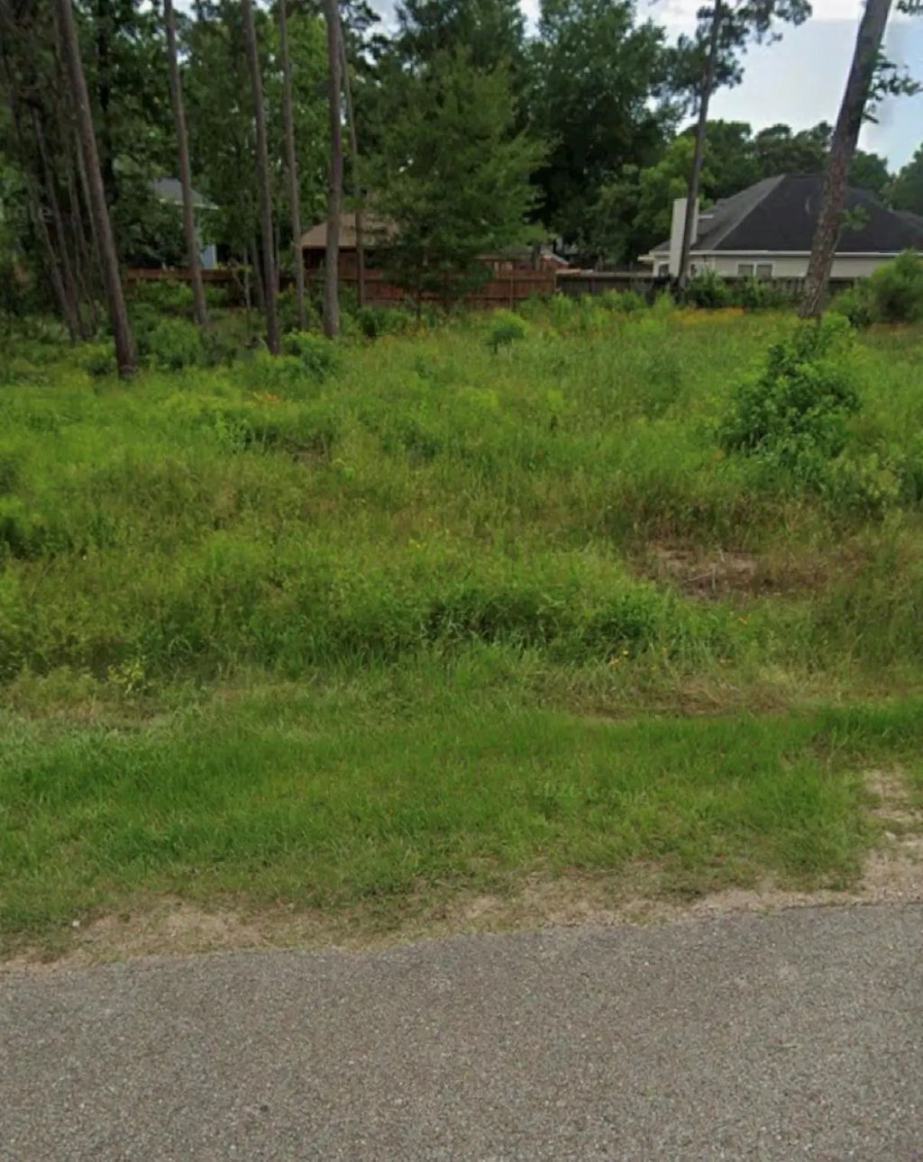 1307 Flamingo Street, Conroe