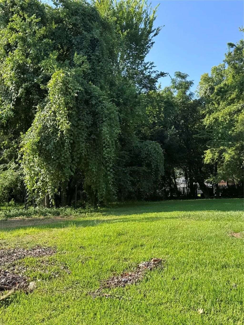 910 Sherman Street, Beaumont