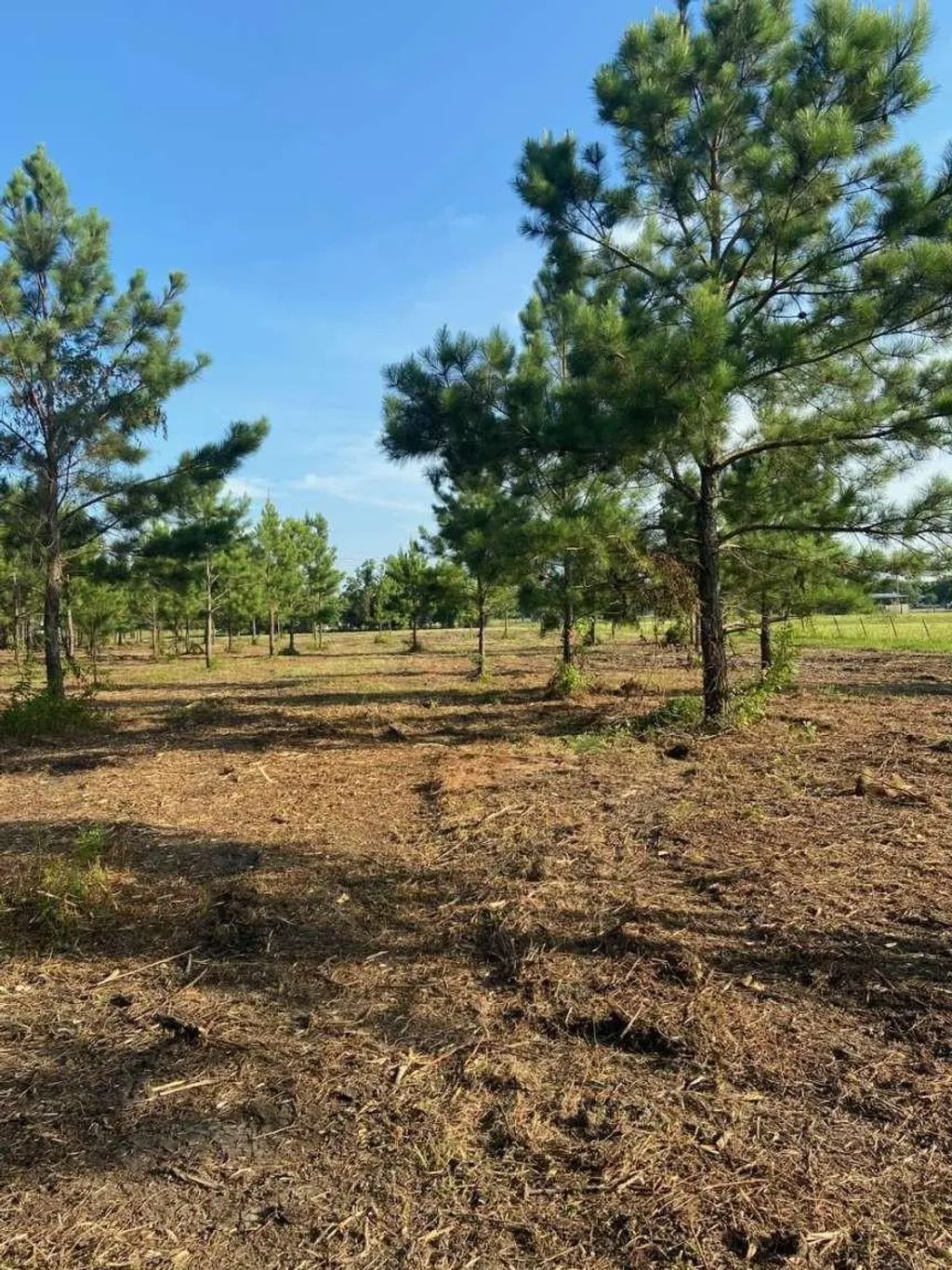 5510 County Road 602, Dayton