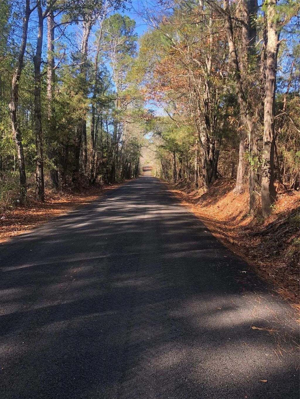 20894 Franklin Drive, Troup