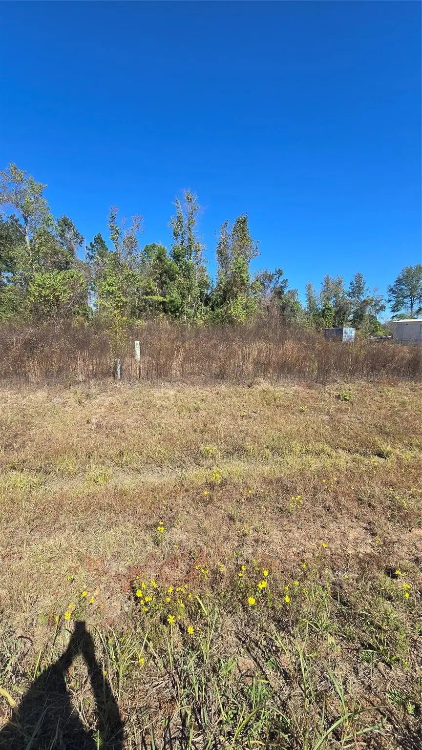 1167 Road 5894, Cleveland