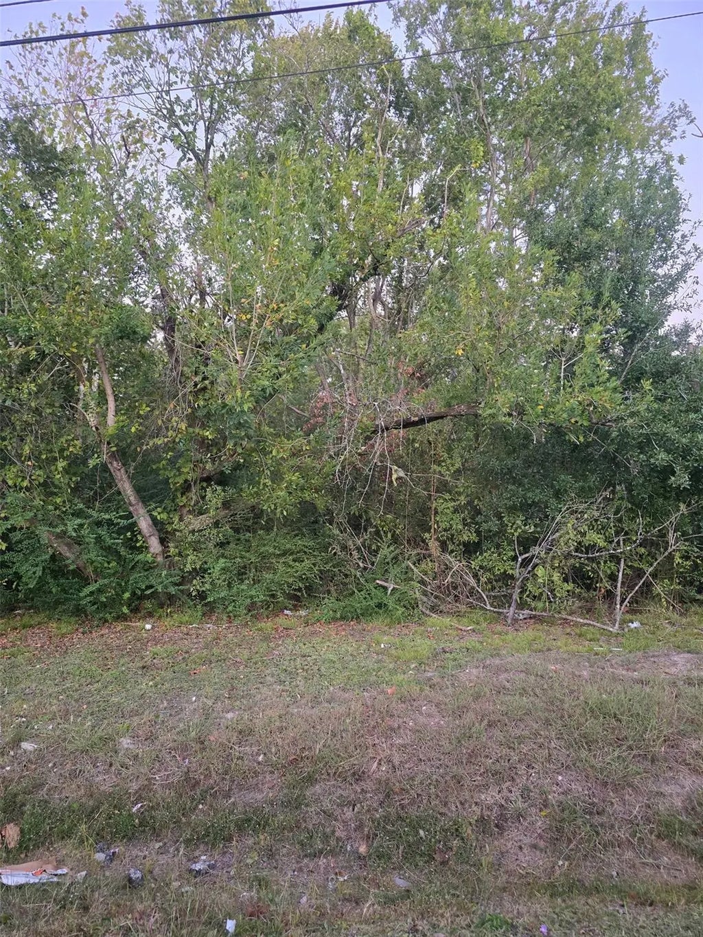 6010 Wedgefield Street, Houston