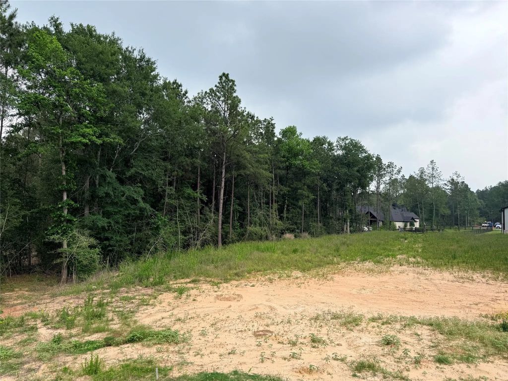 4601 High Meadow West Court, Montgomery