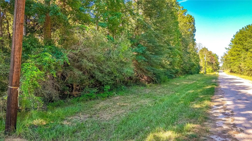 Tbd 24 Timber Grove, Livingston