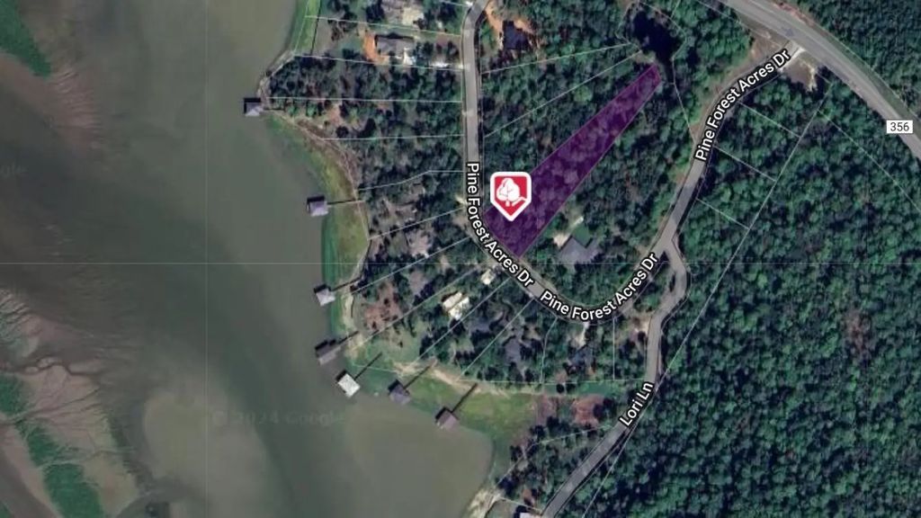 400 Pine Forest Acres, Trinity