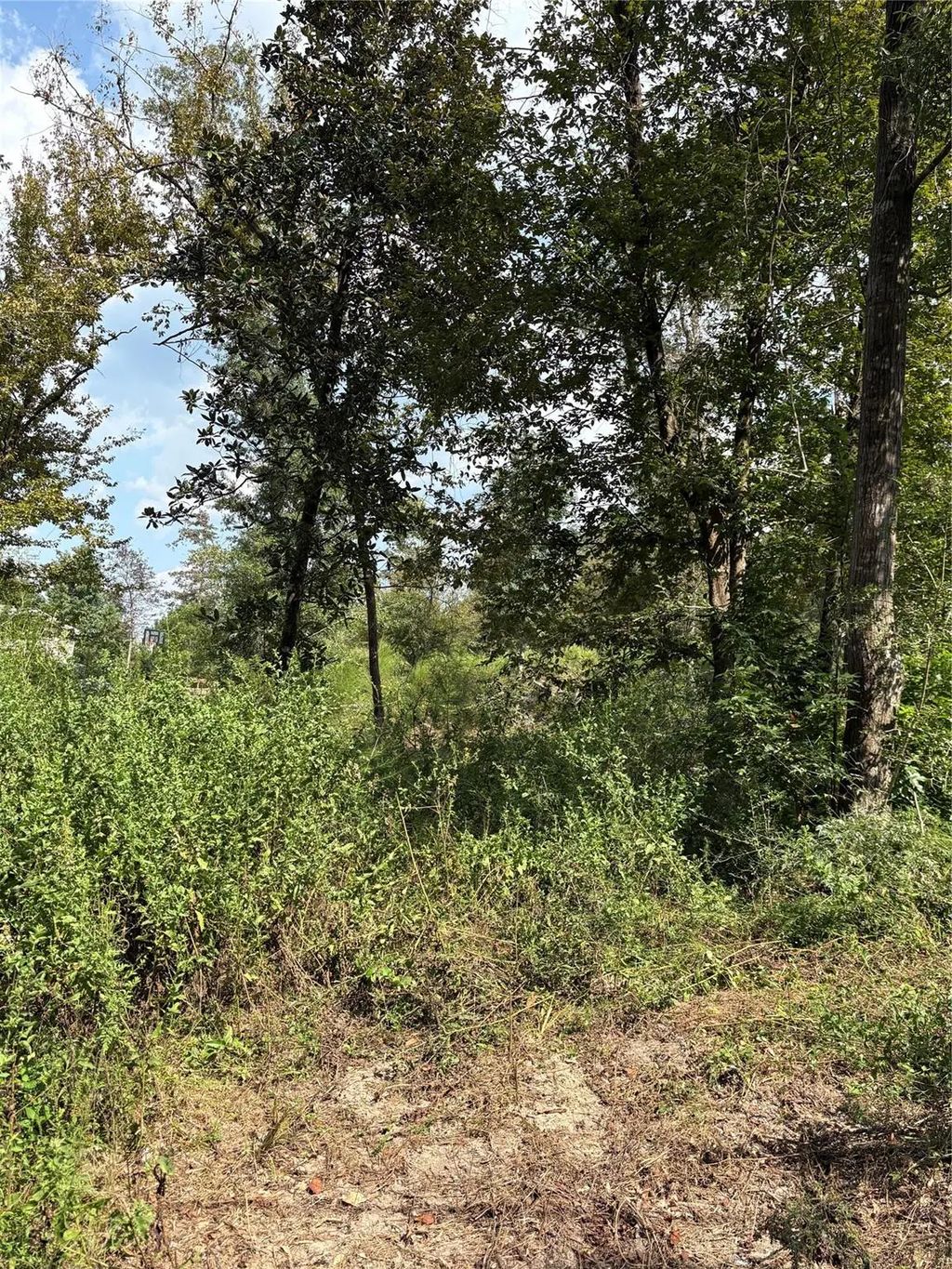 Tbd Walnut Ridge Road, Livingston