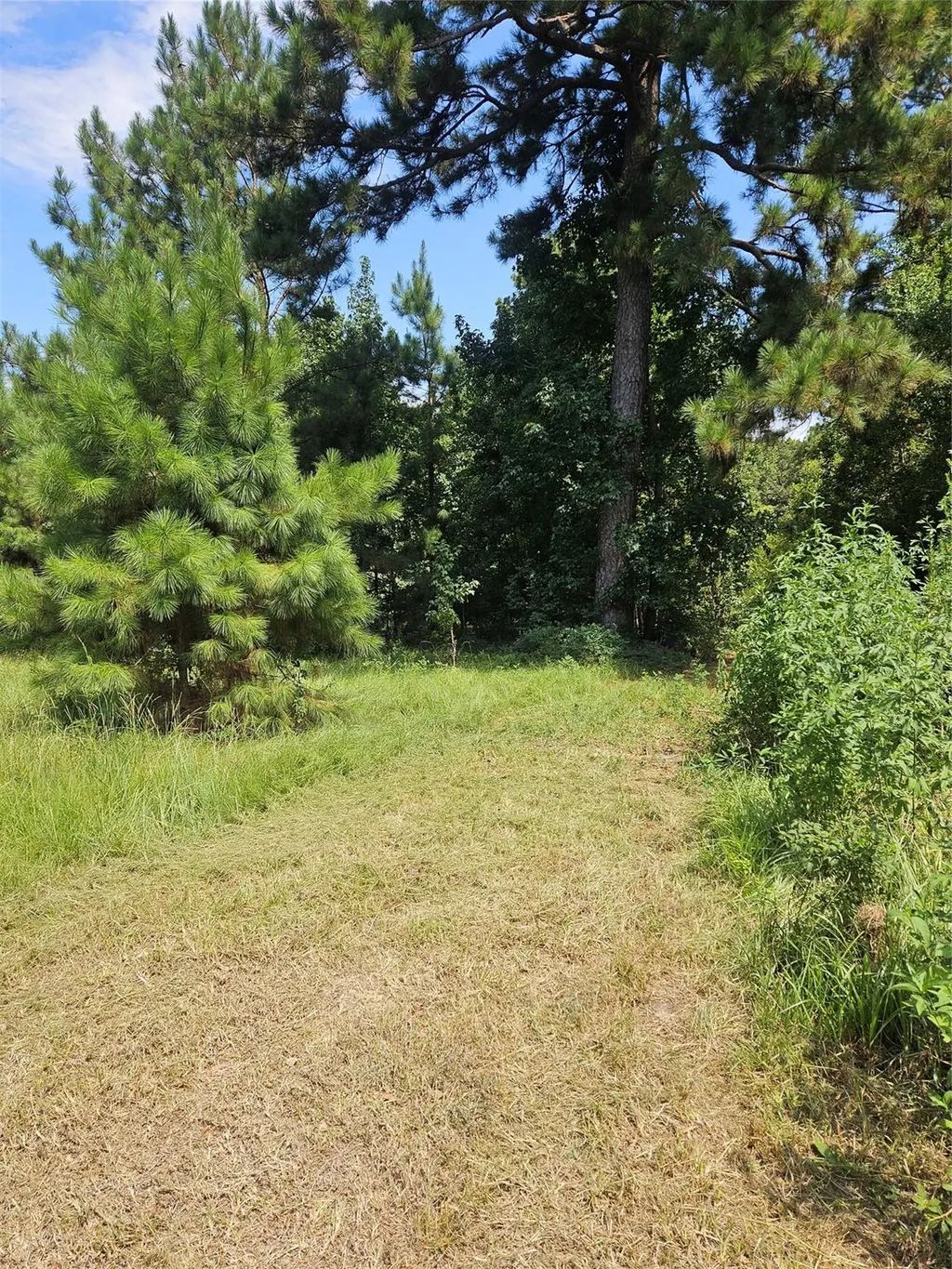 207 County Road 2210, Cleveland
