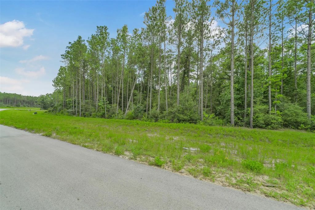 11991 High Branch Way, Willis