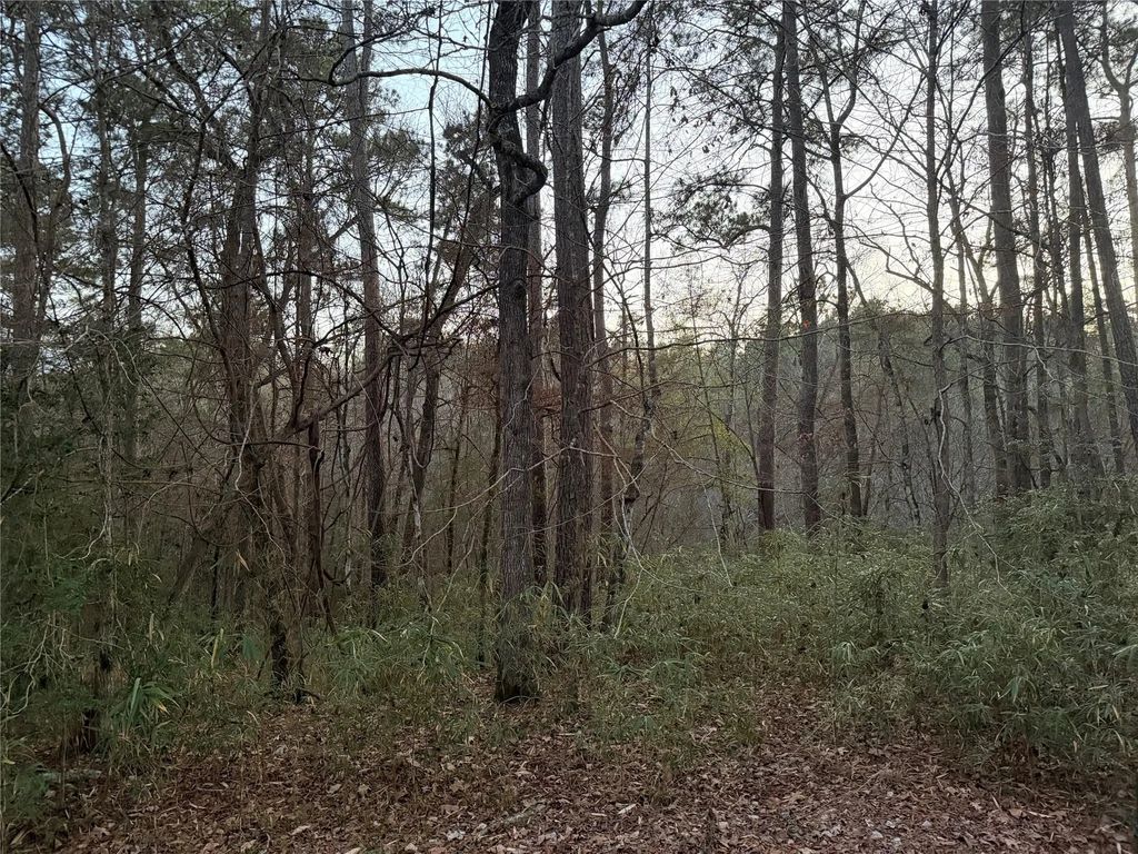 94 Green Tree Drive, Coldspring
