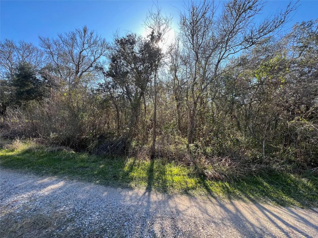 Segundo, Brazoria