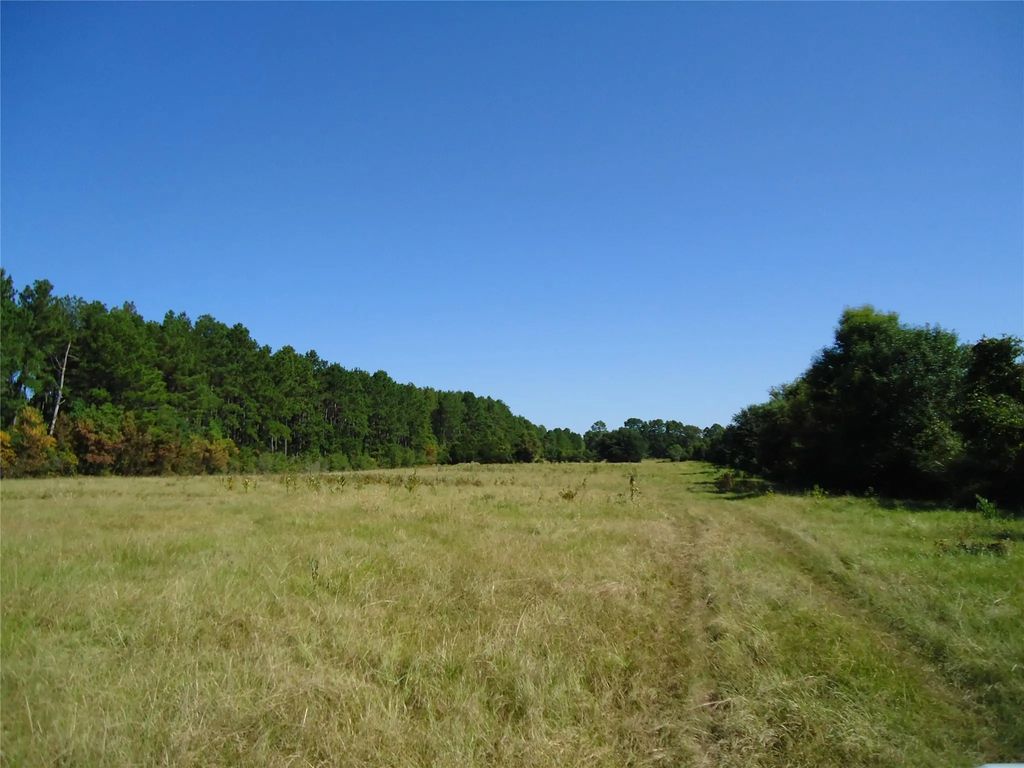 788 Fm-2781, Groveton