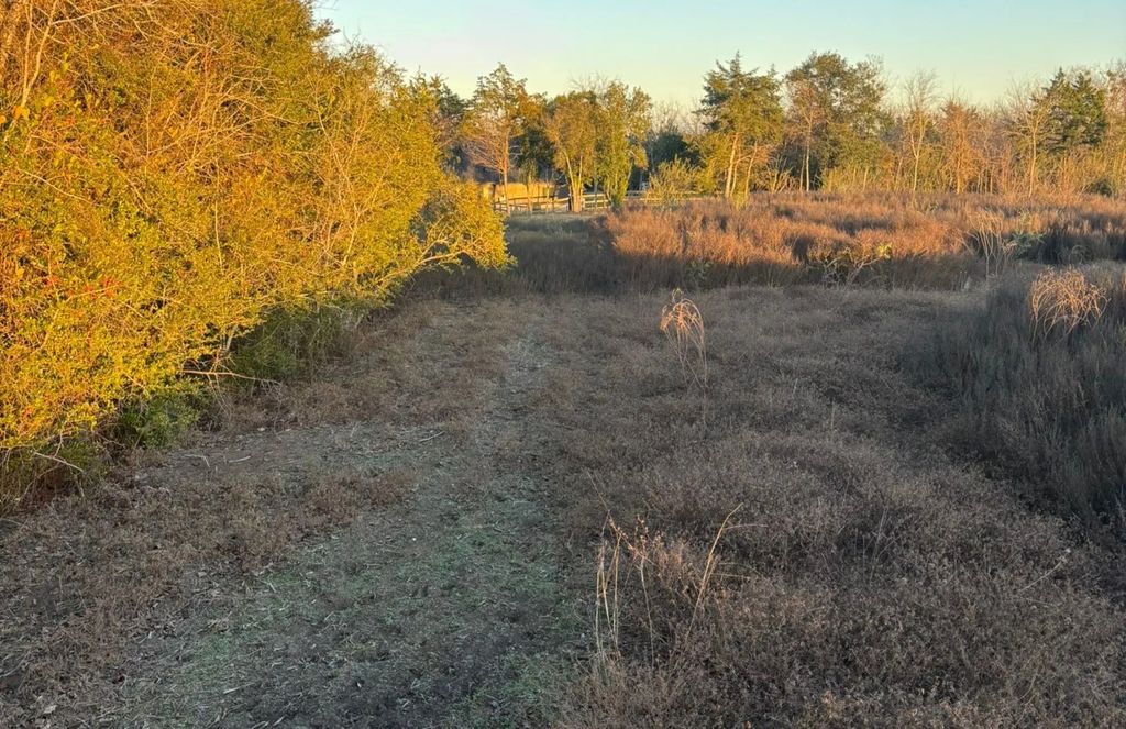 Lot 26 Winding Branch, Chappell Hill