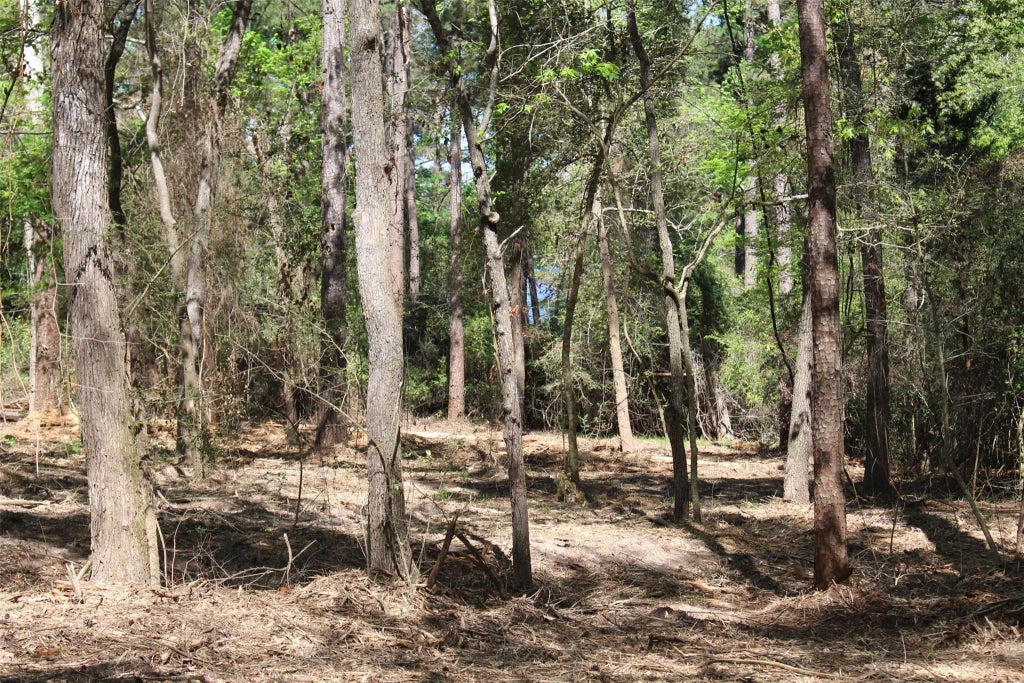 145 Crossed Arrows, Grapeland