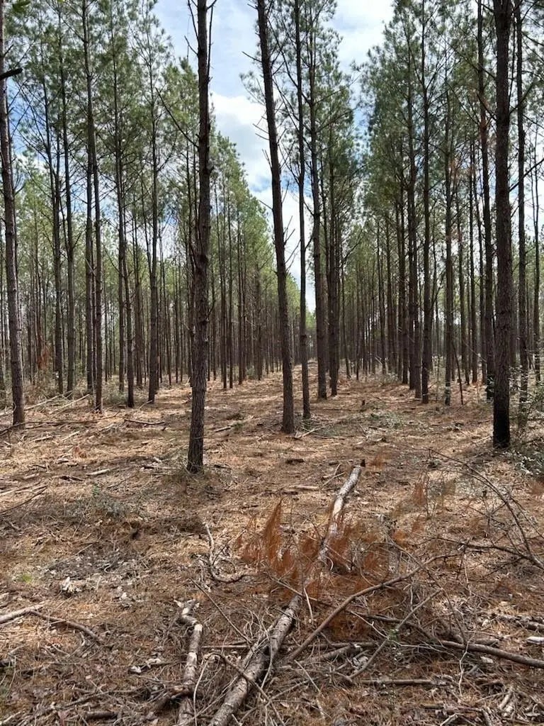 Tract 2 Lloyd Walker Road, Huntington