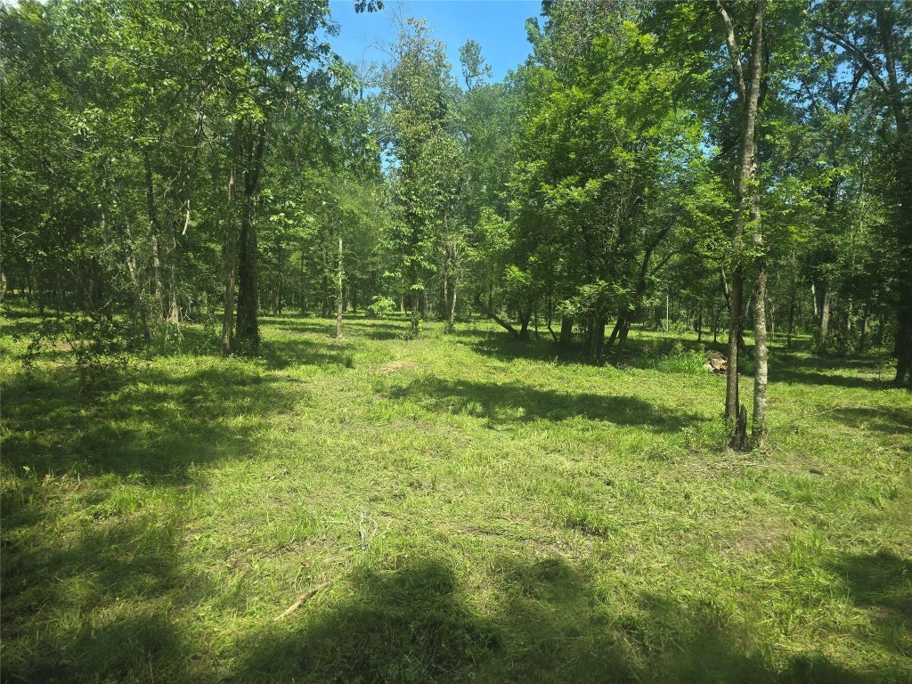 Tbd Tymel Lane, Cleveland