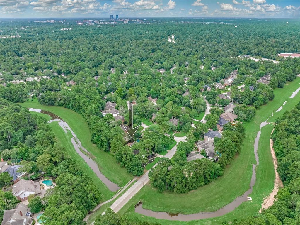 42 Golden Shadow Circle, The Woodlands