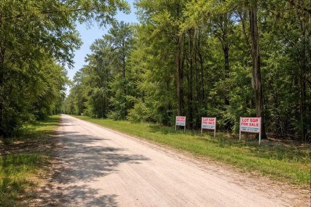 Bayou Drive, Alvin