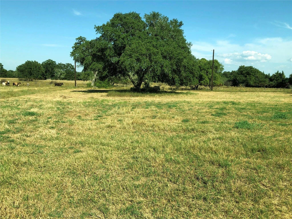 Lot 7 Pvt 1672, Hallettsville