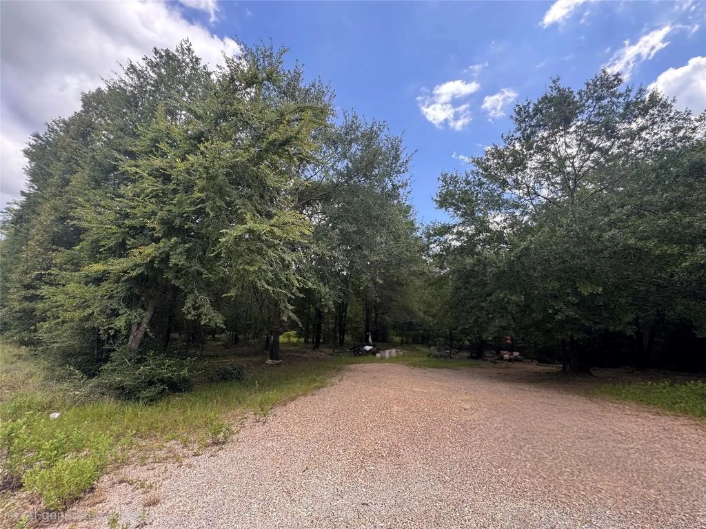 21145 Fm 1774, Plantersville