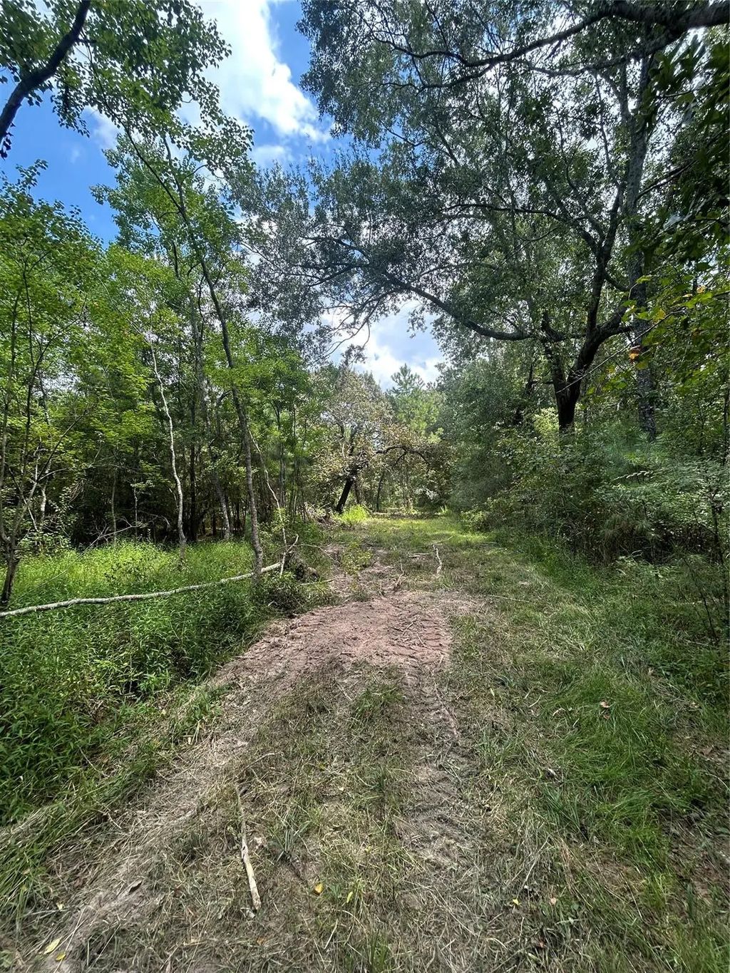 11919 Hickory Wood, Pinehurst