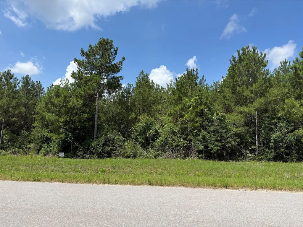 15751 Wood Grove Way, Willis