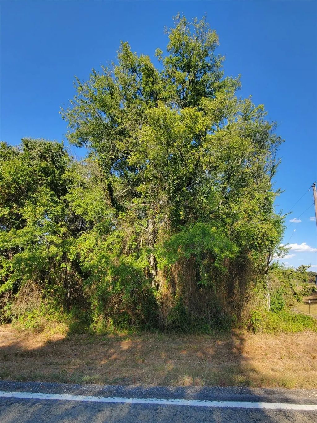 8166 Fm 1362 N, Caldwell
