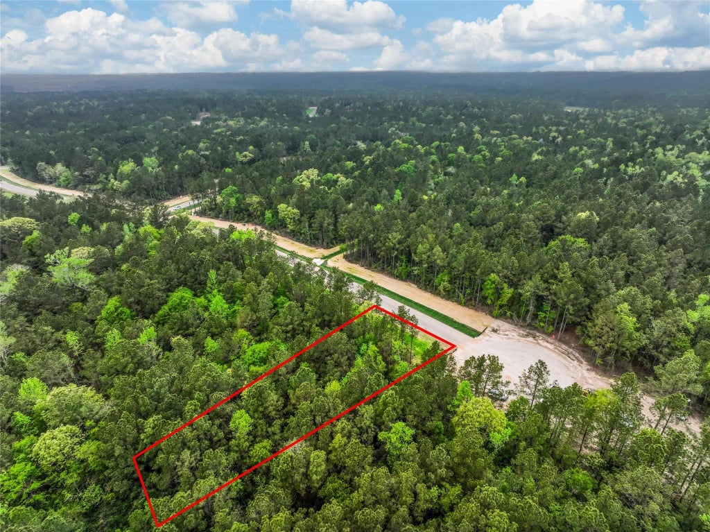 25011 Balmorhea Way, Montgomery