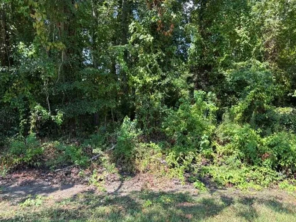 Tbd Beaver Den Drive, Coldspring