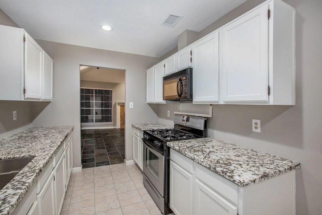 17002 Sky Blue Place, Houston