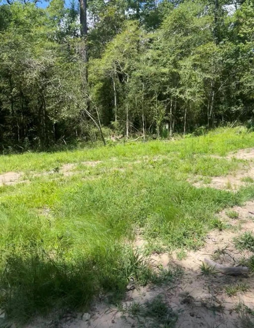 58 Firewood Road, Huntsville