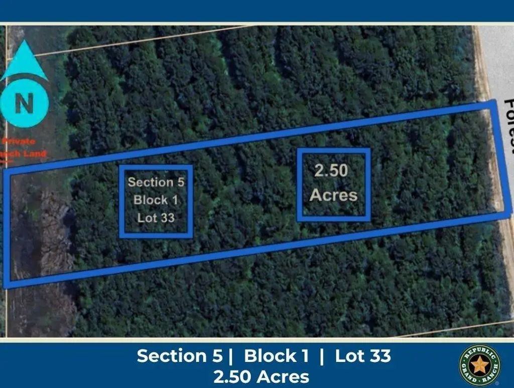 15673 Forest Grove Drive, Willis