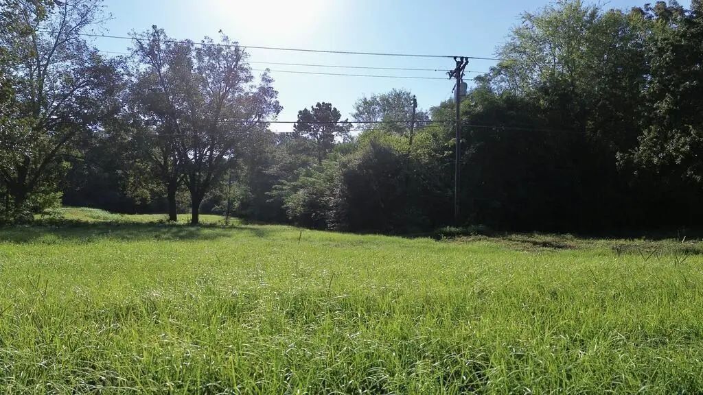 4600 Hwy 96 N, Jasper