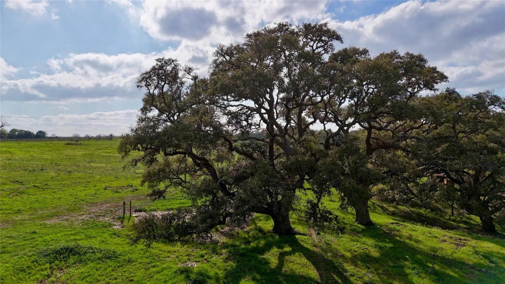 494 County Road 217c, Schulenburg