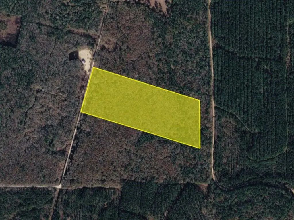 Sap Graveyard Road, Kountze