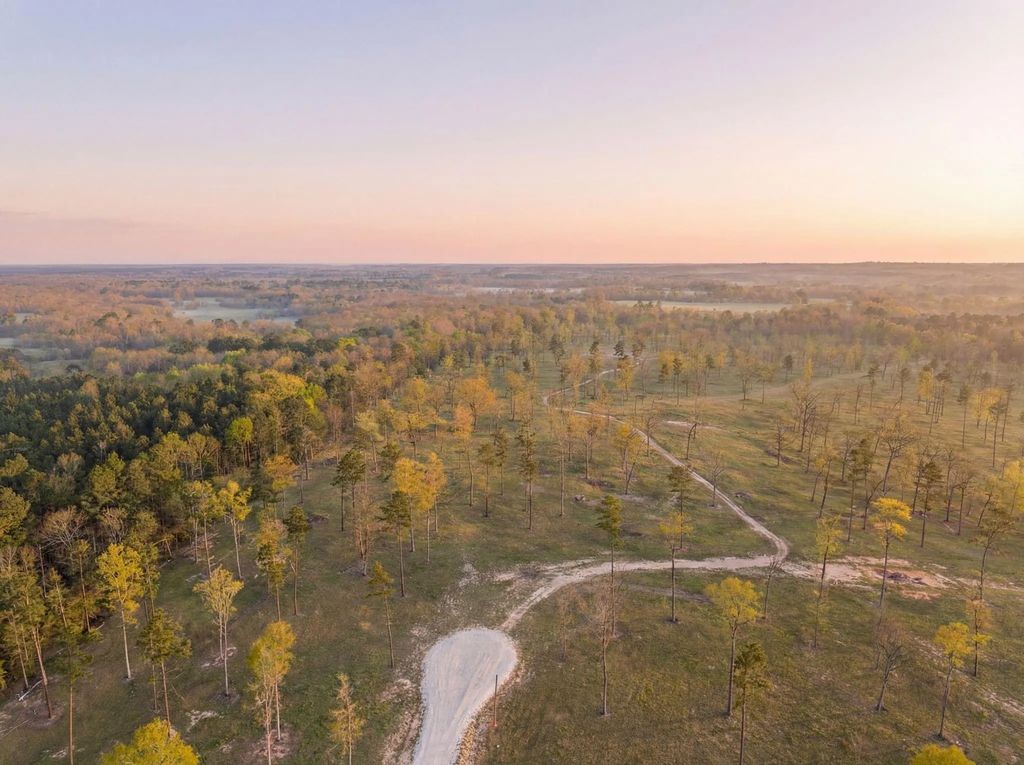 Lot 7 Johnson Drive, Livingston