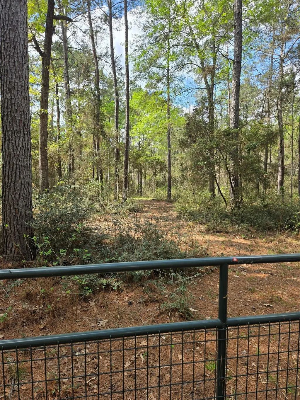Tba Sanctuary Rd, Huntsville