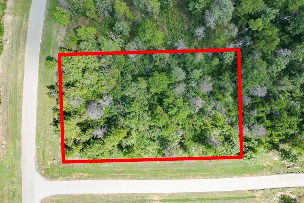 10692 Ruger Road, Willis