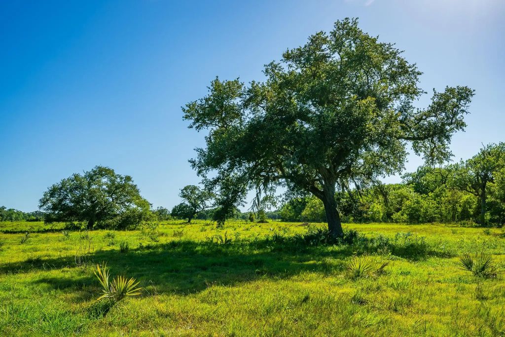 700 Cr-700, Brazoria