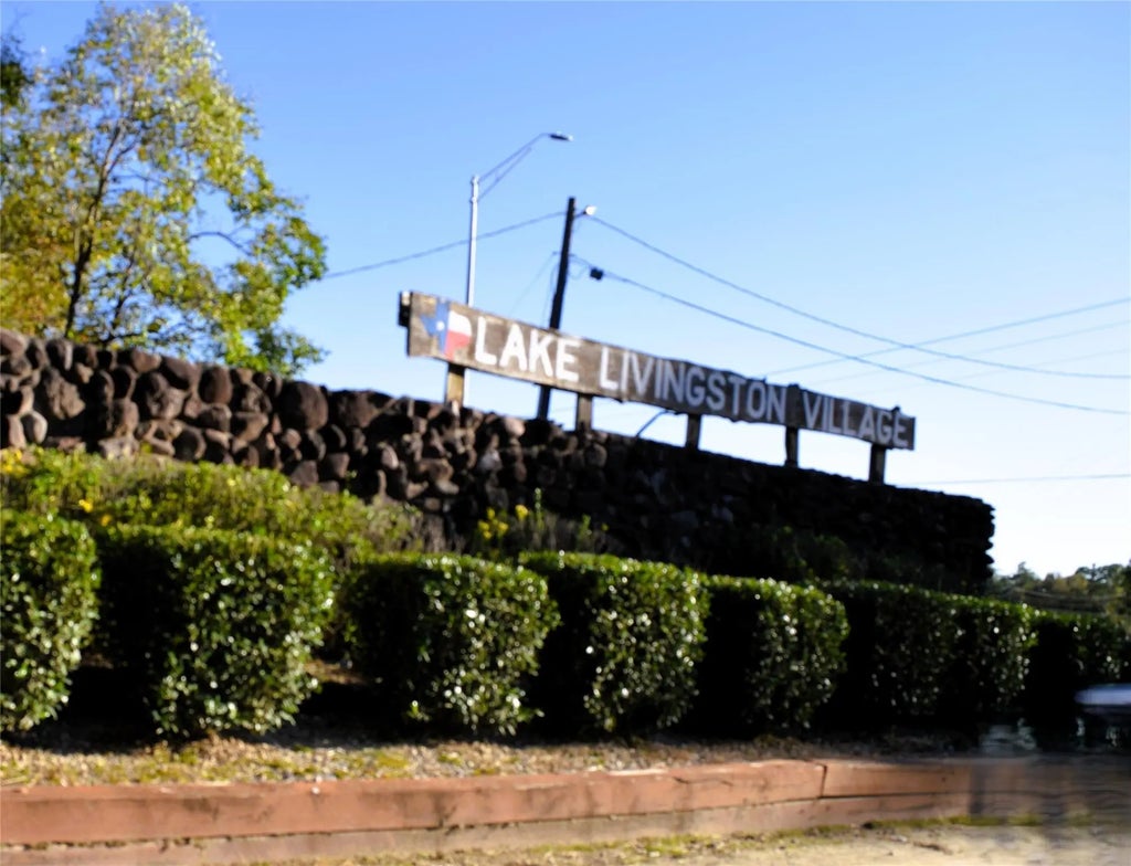 Tbd Forester, Livingston