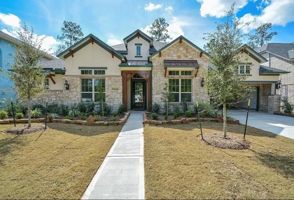 10407 Roseate Skimmer, Conroe
