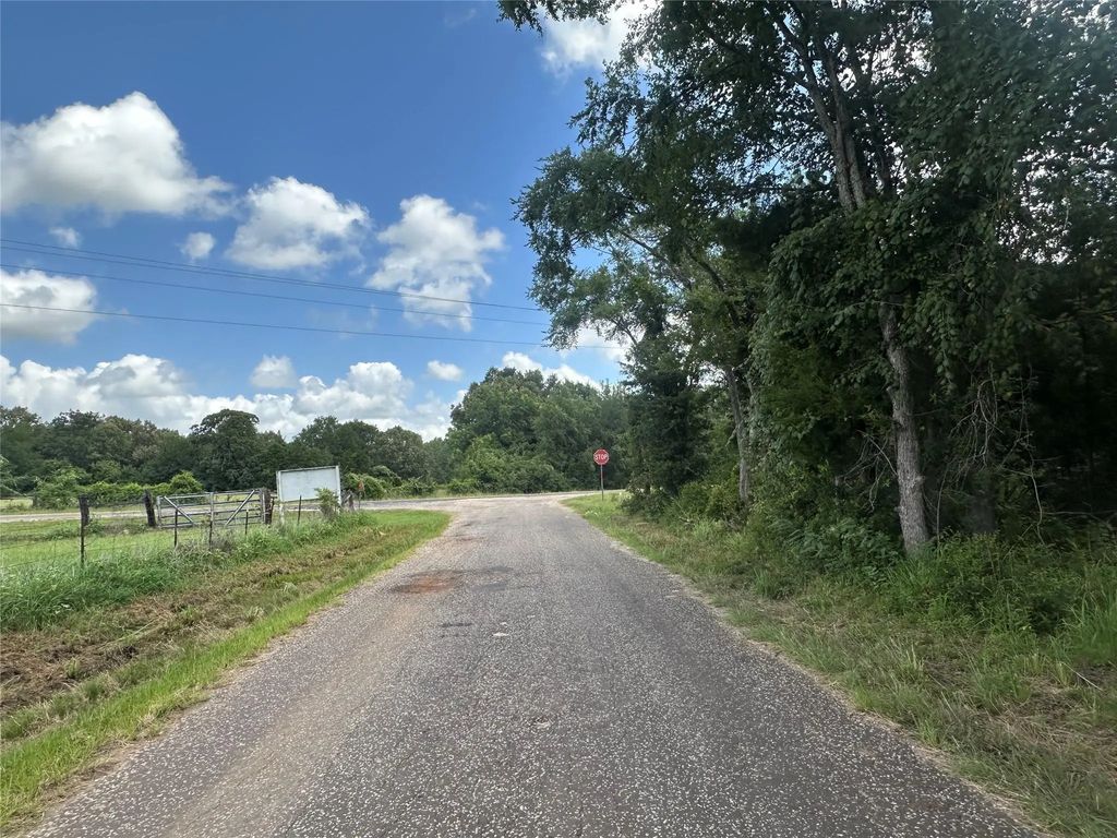 Tr 1 Fm 489, Buffalo