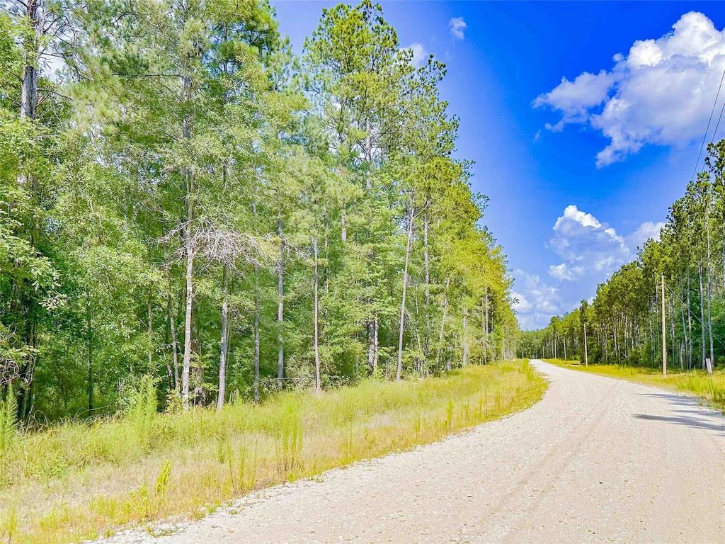 9010 Carter Ranch Road, Kountze