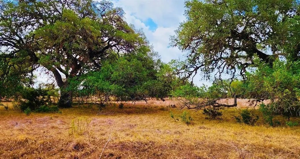 530 Buckskin Trail, Bandera