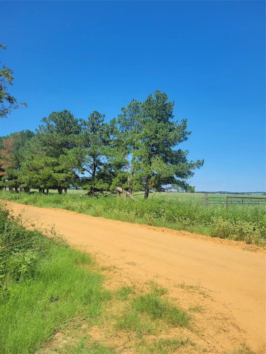 #2 Navarro Lane, Grapeland